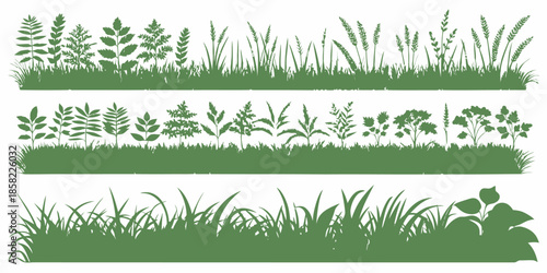 Green grass and plant silhouettes in various growth stages