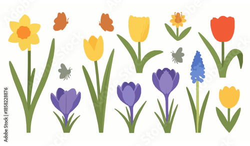 Hand drawn spring flowers and insects vector set with daffodils tulips crocus and muscari