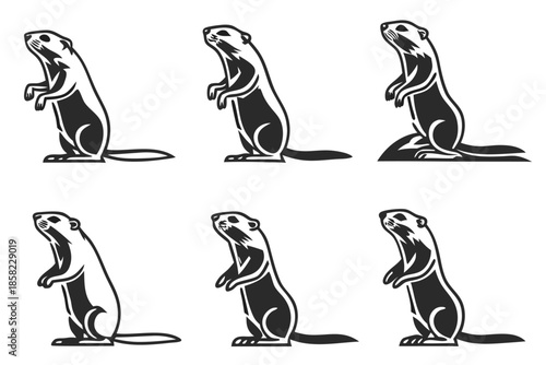 Placeholder image indicator