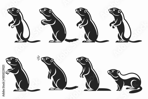 Placeholder image display