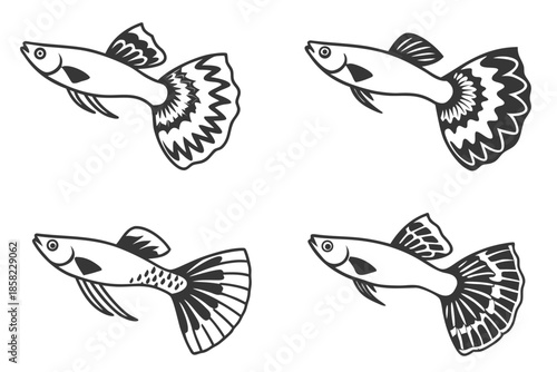 Placeholder image display