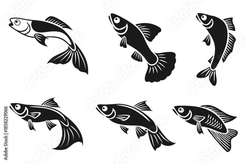 Placeholder image display