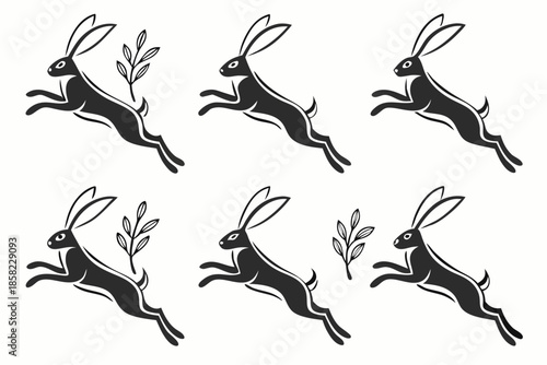 Placeholder image display