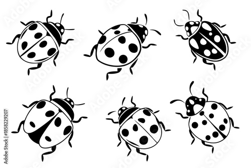 Empty vector file representation