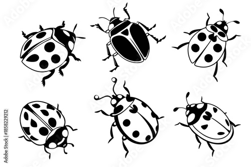 Placeholder image for vector file