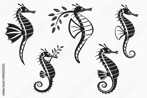 Placeholder image display