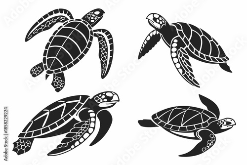 Placeholder image display