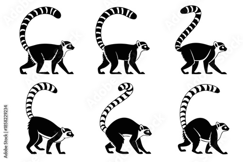 Placeholder image display