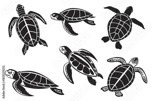 Placeholder image display