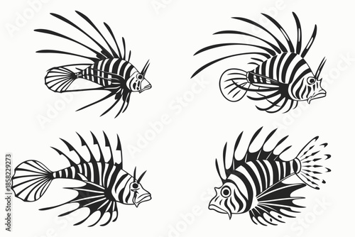 Placeholder image display