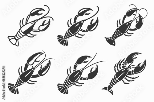 Placeholder image display