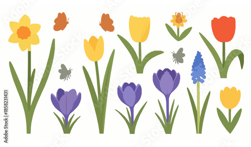 Hand drawn spring flowers and insects vector set with daffodils tulips crocus and muscari