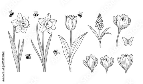 Minimal hand drawn spring garden vector illustration with flowers and insects isolated on white