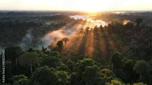 A breathtaking aerial view captures the mystical beauty of a vast rainforest at sunrise, with golden sun rays piercing through the misty canopy.