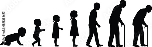 Human life cycle silhouette, from baby to elderly, aging stages, growth process, timeline of human development, evolution of life journey