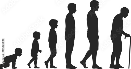 Male life stages from crawling baby to elderly man with cane, silhouette showing aging, growth, human development, and life journey progression