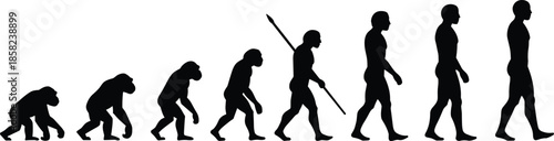 Human evolution silhouette from primate to modern man, walking stages, flat vector, isolated, cad drawing