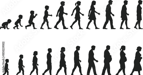 Human life stages silhouette illustration, from baby to adult and elderly, male and female walking evolution concept, vector isolated design