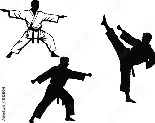 Martial arts silhouettes, karate training illustration, martial artist poses artwork, self defense practice design, sports fitness graphic