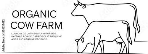 Organic cow farm line art illustration - two cows Vector