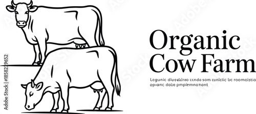 Organic cow farm livestock line art isolated vector illustration Vector
