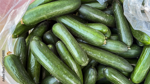 fresh green cucumbers stacked in vegetable shop for sale