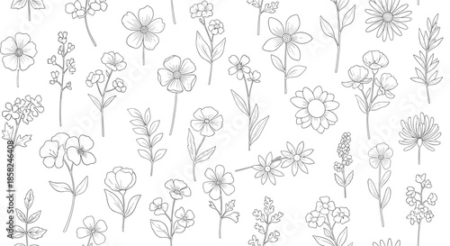 A beautiful and delicate seamless pattern of various hand-drawn wildflowers and herbs in a dotted line art or embroidery style.