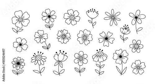 A large and charming collection of various simple flower doodles hand-drawn in a clean black and white line art vector style.