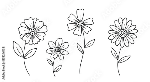 A set of four charming hand-drawn daisy or cosmos flowers in a simple black and white line art style for cute decorations.