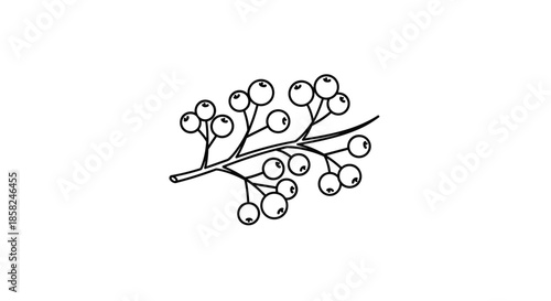 A simple black and white line art icon of a small branch with a cluster of round berries perfect for minimalist botanical logos.