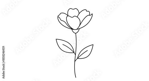 A clean and simple line art drawing of a single beautiful flower on a stem with two leaves perfect for minimalist designs.