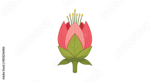 A stylized geometric illustration of a pink flower bud beginning to open showcasing its petals and stamens in a modern style.