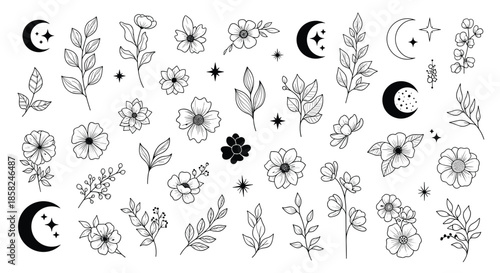 A large celestial and botanical collection of hand-drawn doodle elements featuring flowers leaves moons and stars for magical designs.