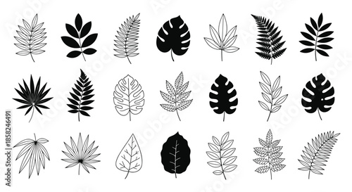 A large and diverse collection of tropical leaves including monstera and fern in various silhouette and hand-drawn line art styles.