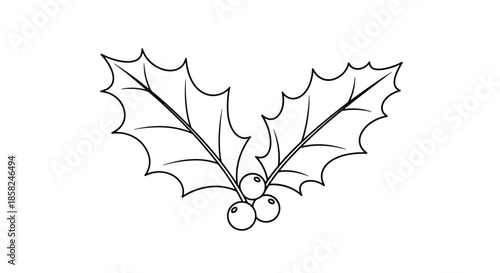 A simple black and white line art drawing of a holly branch with leaves and berries a classic symbol of Christmas holidays.