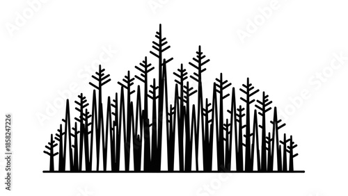 Abstract Silhouette of Dense Pine Forest Canopy.