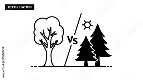 Deforestation Versus Forest Conservation Visual Comparison.