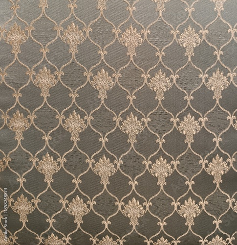 decorative background with graphic elements, luxurious patterns on fabric, and upholstery