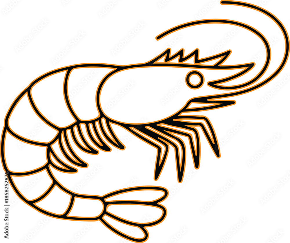 Obraz premium Illustrated shrimp Vector
