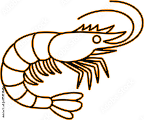 Illustrated shrimp Vector