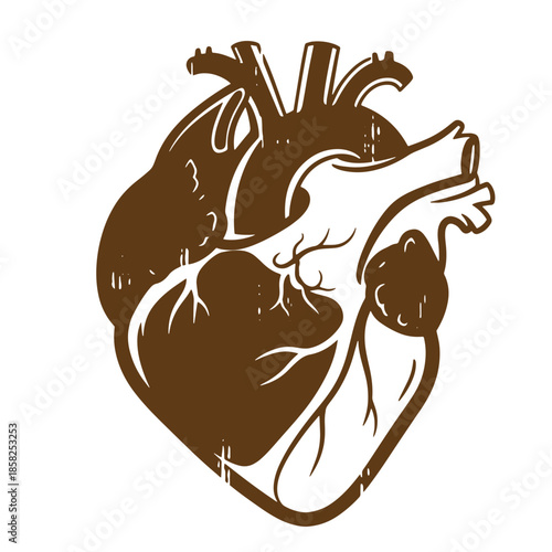 Vintage Illustration of a human heart anatomy in brown color  isolated on transparent background