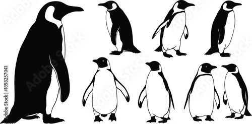 Collection of penguin silhouettes and line art illustrations featuring emperor penguins in various standing and walking poses for winter nature design projects,