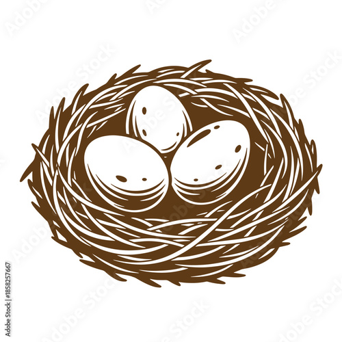 Vintage bird nest with three eggs in brown and white illustration on white background