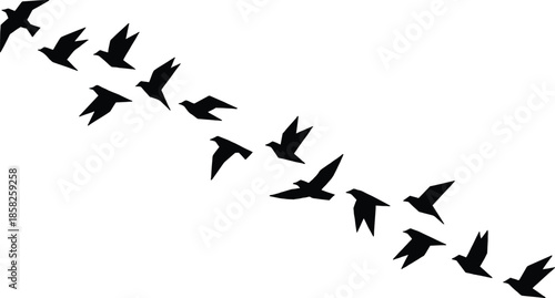 Flying birds silhouette flock migrating across sky symbolizing freedom movement nature wildlife minimal black vector illustration design concept modern abstract