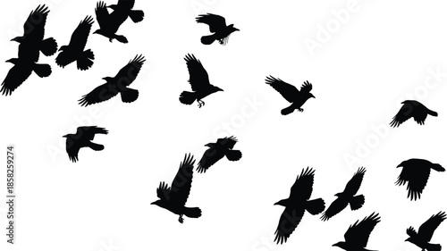 Flying bird silhouettes scattered in dynamic flock formation, expressing freedom motion migration and wild nature energy, minimalist black vector illustration design