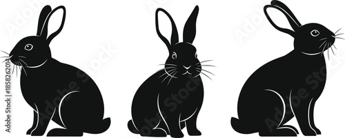 Rabbit silhouette vector, black bunny illustration, sitting rabbit pose, animal clipart, pet graphic, wildlife design, cute hare art