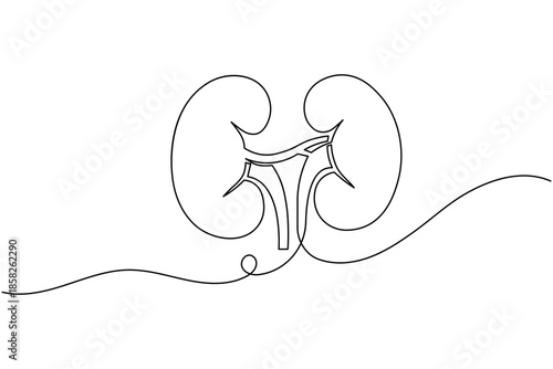 Human Kidneys Pair One Line Drawing Renal Health and Urology Concept