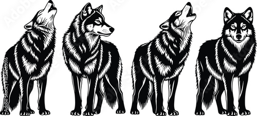 Wolf silhouette, howling wolf, standing wolf, wild animal, predator vector, black silhouettes, editable vector, wildlife clipart, nature illustration, animal , 