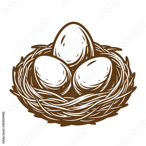 Vintage Brown illustration of three eggs in a bird nest on white background