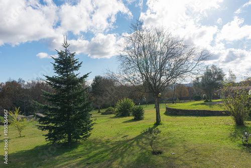 Private park landscape with leafy trees and wooden furniture located in a tranquil rural setting for leisure and wellness concepts